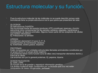 Estructura molecular y su función.


Pues la estructura molecular de las moléculas no se puede describir porque cada
biomolecula tiene su propia estructura si es lo que queria que presentara aki esta:



GLÚCIDOS:
Su estructura es Cn(H2O)n
Son la principal fuente de energía (producen ATP),constituyen reservas y función
estructural como componentes de las paredes celulares vegetales, bacterianas y
exoesqueleto de algunos animales. Algunos hacen parte de los receptores de células
que reciben información.
Ej: Polisacárido: El almidón
LÍPIDOS:
Constitución elemental C,H poco O, P, S.
Constituyentes de membranas celulares
Ej: Esteroides, ácidos grasos, terpenos
PROTEÍNAS:
Están compuestas por unidades estructurales llamadas aminoácidos constituidos por
un grupo amino y un grupo ácido orgánico.
Las proteínas tienen como función (una de ellas creo) transportar elementos dentro y
fuera de la célula.
Las enzimas son por lo general proteínas. Ej: pepsina, tripsina
ÁCIDOS NUCLEICOS:
Ej: ADN y ARN
Su función es la de guardar y reproducir información genética.
Los ácidos nucleicos están constituidos por nucleótidos que a su vez están
compuestos de bases nitrogenadas, pentosas.

 