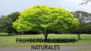 PROYECTO DE CIENCIAS
NATURALES
 