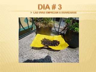 Proyecto de ciencias sociales