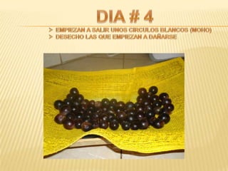 Proyecto de ciencias sociales