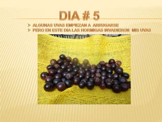 Proyecto de ciencias sociales