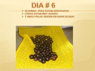 Proyecto de ciencias sociales