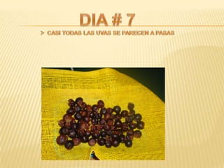 Proyecto de ciencias sociales