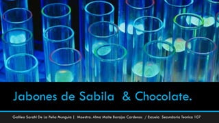 Jabones de Sabila & Chocolate.
Galilea Sarahi De La Peña Munguia | Maestra. Alma Maite Barajas Cardenas / Escuela Secundaria Tecnica 107
 