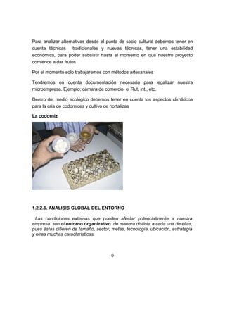 Para analizar alternativas desde el punto de socio cultural debemos tener en
cuenta técnicas tradicionales y nuevas técnicas, tener una estabilidad
económica, para poder subsistir hasta el momento en que nuestro proyecto
comience a dar frutos
Por el momento solo trabajaremos con métodos artesanales
Tendremos en cuenta documentación necesaria para legalizar nuestra
microempresa. Ejemplo: cámara de comercio, el Rut, int., etc.
Dentro del medio ecológico debemos tener en cuenta los aspectos climáticos
para la cría de codornices y cultivo de hortalizas
La codorniz
1.2.2.6. ANALISIS GLOBAL DEL ENTORNO
Las condiciones externas que pueden afectar potencialmente a nuestra
empresa son el entorno organizativo. de manera distinta a cada una de ellas,
pues éstas difieren de tamaño, sector, metas, tecnología, ubicación, estrategia
y otras muchas características.
6
 