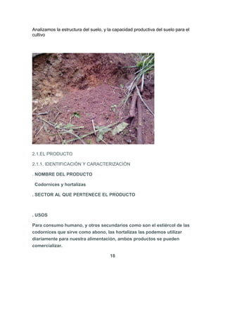 Analizamos la estructura del suelo, y la capacidad productiva del suelo para el
cultivo
2.1.EL PRODUCTO
2.1.1. IDENTIFICACIÒN Y CARACTERIZACIÒN
. NOMBRE DEL PRODUCTO
Codornices y hortalizas
. SECTOR AL QUE PERTENECE EL PRODUCTO
. USOS
Para consumo humano, y otros secundarios como son el estiércol de las
codornices que sirve como abono, las hortalizas las podemos utilizar
diariamente para nuestra alimentación, ambos productos se pueden
comercializar.
18
 