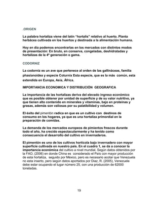 .ORIGEN
La palabra hortaliza viene del latín “hortalis” relativo al huerto. Planta
herbácea cultivada en los huertos y destinada a la alimentación humana.
Hoy en día podemos encontrarlas en los mercados con distintos modos
de presentación: En bruto, en conserva, congeladas, deshidratadas y
hortalizas de la 4ª generación o gama.
CODORNIZ
La codorniz es un ave que pertenece al orden de las gallináceas, familia
phasianoidea y especie Coturnix Esta especie, que es la más común, esta
extendida en Europa, Asia, África.
IMPORTANCIA ECONOMICA Y DISTRIBUCIÒN GEOGRAFICA
La importancia de las hortalizas deriva del elevado ingreso económico
que es posible obtener por unidad de superficie y de su valor nutritivo, ya
que tienen alto contenido en minerales y vitaminas, bajo en proteínas y
grasas, además son valiosas por su palatibilidad y volumen.
El éxito del pimentón radica en que es un cultivo con destinos de
consumo en los hogares, ya que es una hortaliza primordial en la
preparación de comidas.
La demanda de los mercados europeos de pimientos frescos durante
todo el año, ha crecido espectacularmente y ha tenido como
consecuencia el desarrollo del cultivo en invernaderos.
El pimentón es uno de los cultivos hortícola bajo invernadero con mayor
superficie cultivada en nuestro país. En el cuadro 1, se da a conocer la
importancia económica del cultivo a nivel mundial, Según datos obtenidos por
la FAO, (2006) en donde China es considerado el País con mayor producción
de esta hortaliza, seguido por México, pero es necesario acotar que Venezuela
no esta inserto, pero según datos aportados por Diaz, R. (2005), Venezuela
debe estar ocupando el lugar número 25, con una producción de 62000
toneladas.
19
 