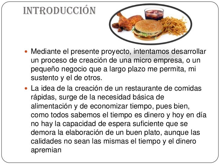 Introduccion De Un Proyecto De Comida