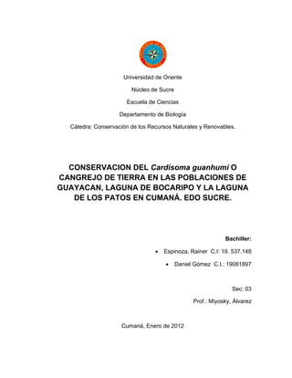 Universidad de Oriente

                        Núcleo de Sucre

                      Escuela de Ciencias

                    Departamento de Biología

  Cátedra: Conservación de los Recursos Naturales y Renovables.




  CONSERVACION DEL Cardisoma guanhumi O
CANGREJO DE TIERRA EN LAS POBLACIONES DE
GUAYACAN, LAGUNA DE BOCARIPO Y LA LAGUNA
   DE LOS PATOS EN CUMANÁ. EDO SUCRE.




                                                            Bachiller:

                                 •   Espinoza, Rainer C.I: 19. 537.148

                                     •    Daniel Gómez C.I.: 19081897



                                                               Sec: 03

                                                Prof.: Miyosky, Álvarez



                    Cumaná, Enero de 2012
 