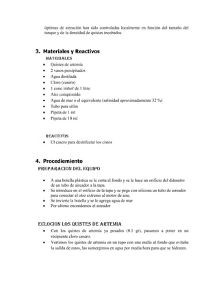 óptimas de aireación han sido controladas localmente en función del tamaño del
tanque y de la densidad de quistes incubados

3. Materiales y Reactivos
Materiales
Quistes de artemia
2 vasos presipitados
Agua destilada
Cloro (casero)
1 cono imhof de 1 litro
Aire comprimido
Agua de mar o el equivalente (salinidad aproximadamente 32 %)
Tubo para sifón
Pipeta de 1 ml
Pipeta de 10 ml

Reactivos
Cl casero para desinfectar los cistos

4. Procediemiento
PREPARACION DEL EQUIPO
A una botella plástica se le corta el fondo y se le hace un orificio del diámetro
de un tubo de aireador a la tapa.
Se introduce en el orificio de la tapa y se pega con silicona un tubo de aireador
para conectar el otro extremo al motor de aire.
Se invierte la botella y se le agrega agua de mar
Por ultimo encendemos el aireador

ECLOCION LOS QUISTES DE ARTEMIA
Con los quistes de artemia ya pesados (0.1 gr), pasamos a poner en un
recipiente cloro casero.
Vertimos los quistes de artemia en un tupo con una malla al fondo que evitaba
la salida de estos, las sumergimos en agua por media hora para que se hidraten.

 