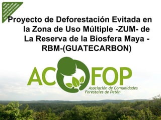Proyecto de Deforestación Evitada en
   la Zona de Uso Múltiple -ZUM- de
                            ZUM-
    La Reserva de la Biosfera Maya -
        RBM-
        RBM-(GUATECARBON)
 