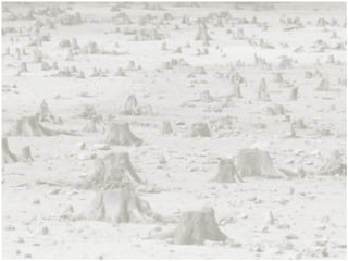 Proyecto de deforestacion primera parte