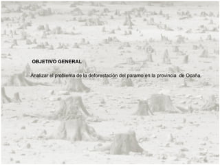 OBJETIVO GENERAL

Analizar el problema de la deforestación del paramo en la provincia de Ocaña.
 