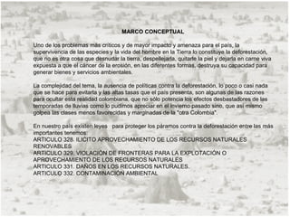MARCO CONCEPTUAL

Uno de los problemas más críticos y de mayor impacto y amenaza para el país, la
supervivencia de las especies y la vida del hombre en la Tierra lo constituye la deforestación,
que no es otra cosa que desnudar la tierra, despellejarla, quitarle la piel y dejarla en carne viva
expuesta a que el cáncer de la erosión, en las diferentes formas, destruya su capacidad para
generar bienes y servicios ambientales.

La complejidad del tema, la ausencia de políticas contra la deforestación, lo poco o casi nada
que se hace para evitarla y las altas tasas que el país presenta, son algunas de las razones
para ocultar esta realidad colombiana, que no sólo potencia los efectos desbastadores de las
temporadas de lluvias como lo pudimos apreciar en el invierno pasado sino, que así mismo
golpea las clases menos favorecidas y marginadas de la "otra Colombia".

En nuestro país existen leyes para proteger los páramos contra la deforestación entre las más
importantes tenemos:
ARTICULO 328. ILICITO APROVECHAMIENTO DE LOS RECURSOS NATURALES
RENOVABLES
ARTICULO 329. VIOLACIÓN DE FRONTERAS PARA LA EXPLOTACIÓN O
APROVECHAMIENTO DE LOS RECURSOS NATURALES
ARTICULO 331. DAÑOS EN LOS RECURSOS NATURALES.
ARTICULO 332. CONTAMINACIÓN AMBIENTAL
 