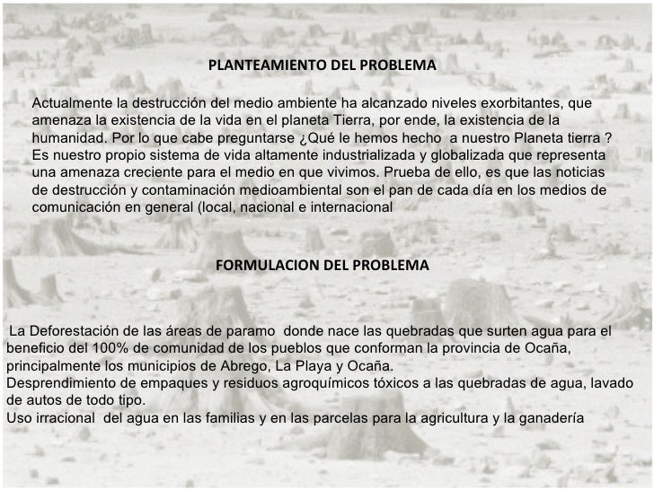 Proyecto de deforestacion primera parte