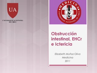 Obstrucción
intestinal, EHCr
e Ictericia

 Elizabeth Muñoz Oliva
       Medicina
          2011
 