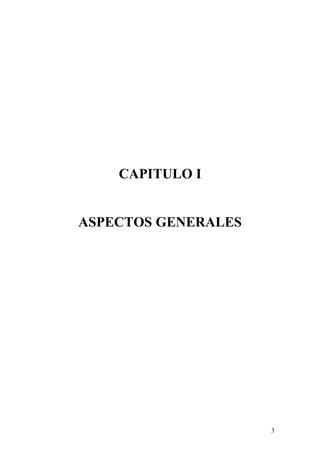 CAPITULO I
ASPECTOS GENERALES
3
 