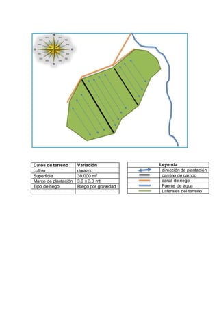 Leyenda
dirección de plantación
camino de campo
canal de riego
Fuente de agua
Laterales del terreno
Datos de terreno Variación
cultivo durazno
Superficie 30,000 m2
Marco de plantación 3.0 x 3.0 mt
Tipo de riego Riego por gravedad
 