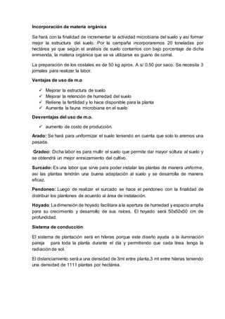 Incorporación de materia orgánica
Se hará con la finalidad de incrementar la actividad microbiana del suelo y así formar
mejor la estructura del suelo. Por la campaña incorporaremos 20 toneladas por
hectárea ya que según el análisis de suelo contamos con bajo porcentaje de dicha
enmienda, la materia orgánica que se va utilizarse es guano de corral.
La preparación de los costales es de 50 kg aprox. A s/ 0.50 por saco. Se necesita 3
jornales para realizar la labor.
Ventajas de uso de m.o
 Mejorar la estructura de suelo
 Mejorar la retención de humedad del suelo
 Retiene la fertilidad y lo hace disponible para la planta
 Aumenta la fauna microbiana en el suelo
Desventajas del uso de m.o.
 aumento de costo de producción.
Arado: Se hará para uniformizar el suelo teniendo en cuenta que solo lo aremos una
pasada.
Gradeo: Dicha labor es para mullir el suelo que permite dar mayor soltura al suelo y
se obtendrá un mejor enraizamiento del cultivo.
Surcado: Es una labor que sirve para poder instalar las plantas de manera uniforme,
así las plantas tendrán una buena adaptación al suelo y se desarrolla de manera
eficaz.
Pendoneo: Luego de realizar el surcado se hace el pendoneo con la finalidad de
distribuir los plantones de acuerdo al área de instalación.
Hoyado: La dimensión de hoyado facilitara a la apertura de humedad y espacio amplia
para su crecimiento y desarrollo de sus raíces. El hoyado será 50x50x50 cm de
profundidad.
Sistema de conducción
El sistema de plantación será en hileras porque este diseño ayuda a la iluminación
pareja para toda la planta durante el día y permitiendo que cada línea tenga la
radiación de sol.
El distanciamiento será a una densidad de 3mt entre planta,3 mt entre hileras teniendo
una densidad de 1111 plantas por hectárea.
 