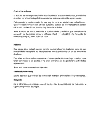 Control de malezas
El durazno es una especie bastante rustico al efecto toxico dela herbicida, siendo este
el motivo por el cual esta práctica agronómica está muy difundida a gran escala.
Es importante el mantenimiento del uso, muy frecuente es afectado por malas hiervas,
que deben ser eliminado con labores culturales, aunque es recomendable un control
cuidadoso con herbicidas, cuando hay demasiada deriva.
Esta actividad se realiza mediante el control cultural y químico que consiste en la
aplicación de herbicidas como el glifosato 2lt/cil, y 150cc/200lt y/o herbicida de
contacto (paraquat) a una dosis de 1lt/cil.
Recalce
Esta es una labor cultural que nos permite repoblar el campo de plantas luego de que
en la siembra o trasplanté no haya prendido. Por lo general hay un 5% de mortandad
de planta.
Esta labor se debe realizar apenas se observe que la planta no haya prendido para
tener uniformidad d las plantas, y n0 tener problemas en las posteriores actividades
agronómicas.
Para esta labor se necesitará 5 jornales.
Desbrote (mamoneo)
Es una actividad que consiste de eliminación de brotes provenientes del porta injertos.
Desyerbo
Es la eliminación de malezas con el fin de evitar la competencia de nutrientes, y
lugares hospederas de plagas.
 