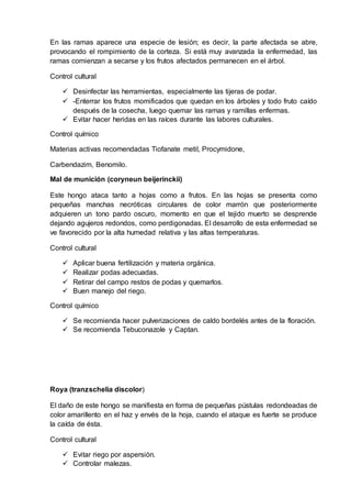 En las ramas aparece una especie de lesión; es decir, la parte afectada se abre,
provocando el rompimiento de la corteza. Si está muy avanzada la enfermedad, las
ramas comienzan a secarse y los frutos afectados permanecen en el árbol.
Control cultural
 Desinfectar las herramientas, especialmente las tijeras de podar.
 -Enterrar los frutos momificados que quedan en los árboles y todo fruto caído
después de la cosecha, luego quemar las ramas y ramillas enfermas.
 Evitar hacer heridas en las raíces durante las labores culturales.
Control químico
Materias activas recomendadas Tiofanate metil, Procymidone,
Carbendazim, Benomilo.
Mal de munición (coryneun beijerinckii)
Este hongo ataca tanto a hojas como a frutos. En las hojas se presenta como
pequeñas manchas necróticas circulares de color marrón que posteriormente
adquieren un tono pardo oscuro, momento en que el tejido muerto se desprende
dejando agujeros redondos, como perdigonadas. El desarrollo de esta enfermedad se
ve favorecido por la alta humedad relativa y las altas temperaturas.
Control cultural
 Aplicar buena fertilización y materia orgánica.
 Realizar podas adecuadas.
 Retirar del campo restos de podas y quemarlos.
 Buen manejo del riego.
Control químico
 Se recomienda hacer pulverizaciones de caldo bordelés antes de la floración.
 Se recomienda Tebuconazole y Captan.
Roya (tranzschelia discolor)
El daño de este hongo se manifiesta en forma de pequeñas pústulas redondeadas de
color amarillento en el haz y envés de la hoja, cuando el ataque es fuerte se produce
la caída de ésta.
Control cultural
 Evitar riego por aspersión.
 Controlar malezas.
 