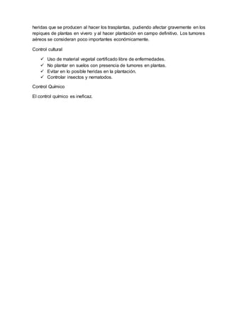 heridas que se producen al hacer los trasplantas, pudiendo afectar gravemente en los
repiques de plantas en vivero y al hacer plantación en campo definitivo. Los tumores
aéreos se consideran poco importantes económicamente.
Control cultural
 Uso de material vegetal certificado libre de enfermedades.
 No plantar en suelos con presencia de tumores en plantas.
 Evitar en lo posible heridas en la plantación.
 Controlar insectos y nematodos.
Control Químico
El control químico es ineficaz.
 