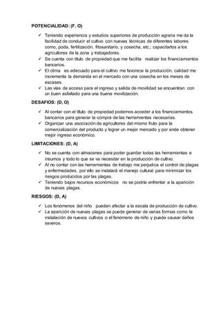 POTENCIALIDAD: (F, O)
 Teniendo experiencia y estudios superiores de producción agraria me da la
facilidad de conducir el cultivo con nuevas técnicas de diferentes labores
como, poda, fertilización, fitosanitario, y cosecha, etc.; capacitarlos a los
agricultores de la zona y trabajadores.
 Se cuenta con título de propiedad que me facilita realizar los financiamientos
bancarios.
 El clima es adecuado para el cultivo me favorece la producción, calidad me
incrementa la demanda en el mercado con una cosecha en los meses de
escases.
 Las vías de acceso para el ingreso y salida de movilidad se encuentran con
un buen asfaltado para una buena movilización.
DESAFIOS: (D, O)
 Al contar con el título de propiedad podemos acceder a los financiamientos
bancarios para generar la compra de las herramientas necesarias.
 Organizar una asociación de agricultores del mismo fruto para la
comercialización del producto y lograr un mejor mercado y por ende obtener
mejor ingreso económico.
LIMITACIONES: (D, A)
 No se cuenta con almacenes para poder guardar todas las herramientas e
insumos y todo lo que se va necesitar en la producción de cultivo.
 Al no contar con las herramientas de trabajo me perjudica el control de plagas
y enfermedades, por ello se instalará el manejo cultural para minimizar los
riesgos producidos por las plagas.
 Teniendo bajos recursos económicos no se podría enfrentar a la aparición
de nuevas plagas.
RIESGOS: (D, A)
 Los fenómenos del niño pueden afectar a la escala de producción de cultivo.
 La aparición de nuevas plagas se puede generar de varias formas como la
instalación de nuevos cultivos o el fenómeno de niño y puede causar daños
severos.
 