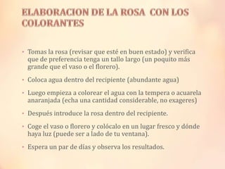 • Tomas la rosa (revisar que esté en buen estado) y verifica

que de preferencia tenga un tallo largo (un poquito más
grande que el vaso o el florero).

• Coloca agua dentro del recipiente (abundante agua)
• Luego empieza a colorear el agua con la tempera o acuarela

anaranjada (echa una cantidad considerable, no exageres)

• Después introduce la rosa dentro del recipiente.
• Coge el vaso o florero y colócalo en un lugar fresco y dónde

haya luz (puede ser a lado de tu ventana).

• Espera un par de días y observa los resultados.

 