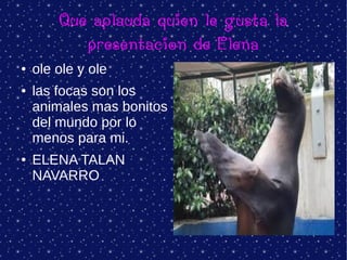 Que aplauda quien le gusta la
presentacion de Elena
● ole ole y ole
● las focas son los
animales mas bonitos
del mundo por lo
menos para mi.
● ELENA TALAN
NAVARRO
 
