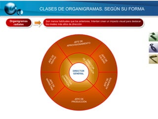 CLASES DE ORGANIGRAMAS. SEGÚN SU FORMA

Organigramas     Son menos habituales que los anteriores. Intentan crear un impacto visual para destacar
   radiales      los niveles más altos de dirección




                                     JEFE DE
                                APROVISIONAMIENTO




                                         DIRECTOR
                                         GENERAL




                                          JEFE DE
                                        PRODUCCIÓN
 