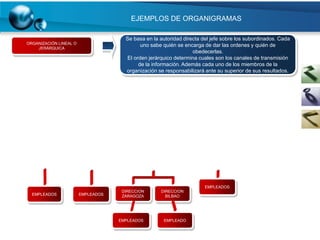 EJEMPLOS DE ORGANIGRAMAS

                                      Se basa en la autoridad directa del jefe sobre los subordinados. Cada
ORGANIZACIÓN LINEAL O
                                            uno sabe quién se encarga de dar las ordenes y quién de
    JERÁRQUICA
                                                                  obedecerlas.
                                      El orden jerárquico determina cuales son los canales de transmisión
                                           de la información. Además cada uno de los miembros de la
                                      organización se responsabilizará ante su superior de sus resultados.




                                                                       EMPLEADOS
                                     DIRECCION      DIRECCION
  EMPLEADOS             EMPLEADOS    ZARAGOZA         BILBAO




                                    EMPLEADOS         EMPLEADO
 