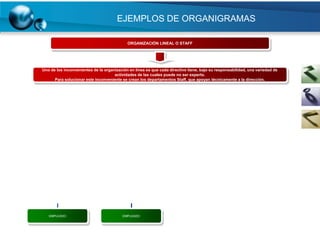 EJEMPLOS DE ORGANIGRAMAS

                                            ORGANIZACIÓN LINEAL O STAFF




Uno de los inconvenientes de la organización en línea es que cada directivo tiene, bajo su responsabilidad, una variedad de
                                     actividades de las cuales puede no ser experto.
      Para solucionar este inconveniente se crean los departamentos Staff, que apoyan técnicamente a la dirección.




   EMPLEADO                               EMPLEADO
 