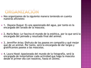    Nos organizamos de la siguiente manera teniendo en cuenta
    nuestras aficiones:

   1. Dayana Duque: Es una apasionada del agua, por tanto es la
    encargada del lavado de la mascota.

   2. María Rojo: Le fascina el mundo de la estética, por lo que será la
    encargada del peinado y resultado final del animal.

   3. Jenniffer Arias: Disfruta de los paseos en compañía y qué mejor
    que de un animal. Por tanto, será la encargada de dar largos y
    gratificantes paseos a las mascotas.

   4. Laura Hood: Apasionada del mundo de la fotografía, será la
    encargada de inmortalizar cada actividad que haga la mascota
    desde el primer día con nosotros, hasta el último.
 