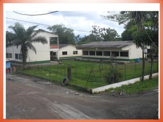 Proyecto de enbellecimiento