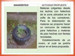 DIAGNÓSTICO ACTIVIDAD PROPUESTA
Materas colgantes desde
los techos con helechos
de la zona ubicados en la
orilla de los corredores.
Para la elaboración de
materas se propone hacer
un concurso de materas
para helechos y materas
de piso hechas con llantas
recicladas.
Establecimiento de un
vivero, el cual se podría
ubicar en el área propuesta.
 