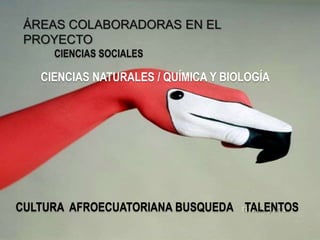ÁREAS COLABORADORAS EN EL PROYECTOCIENCIAS SOCIALESCIENCIAS NATURALES / QUÍMICA Y BIOLOGÍACULTURA  AFROECUATORIANA BUSQUEDA    TALENTOS