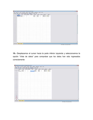 10.- Desplazamos el cursor hacia la parte inferior izquierda y seleccionamos la
opción “Vista de datos” para comprobar que los datos han sido ingresados
correctamente
 