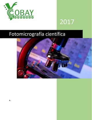 2017
Fotomicrografía científica
4.-
 