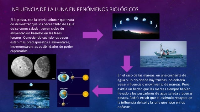 Proyecto de geografia