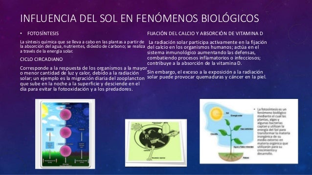 Proyecto de geografia