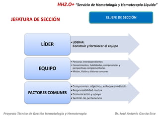 HH2.O+ “Servicio de Hematología y Hemoterapia Líquido”
EL JEFE DE SECCIÓN

JEFATURA DE SECCIÓN

LÍDER

EQUIPO

FACTORES CO...