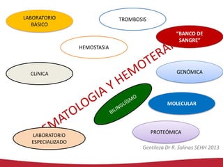 LABORATORIO
BÁSICO

TROMBOSIS
“BANCO DE
SANGRE”
HEMOSTASIA

CLíNICA

GENÓMICA

MOLECULAR

LABORATORIO
ESPECIALIZADO

PROTE...