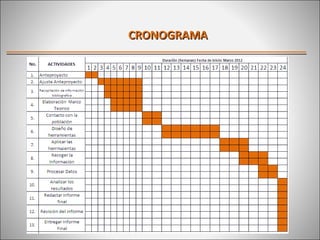 CRONOGRAMA
 