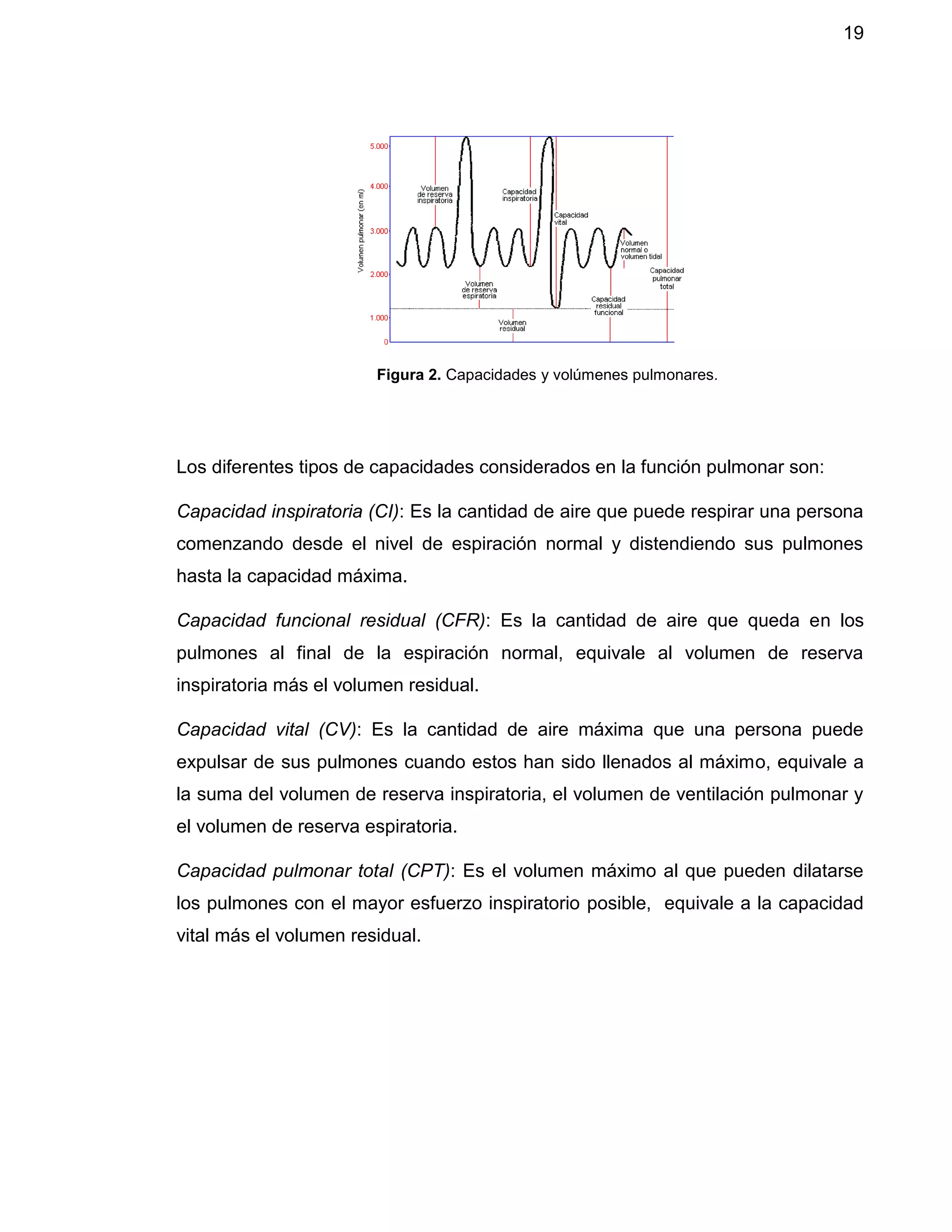 19
Figura 2. Capacidades y volúmenes pulmonares.
Los diferentes tipos de capacidades considerados en la función pulmonar son:
Capacidad inspiratoria (CI): Es la cantidad de aire que puede respirar una persona
comenzando desde el nivel de espiración normal y distendiendo sus pulmones
hasta la capacidad máxima.
Capacidad funcional residual (CFR): Es la cantidad de aire que queda en los
pulmones al final de la espiración normal, equivale al volumen de reserva
inspiratoria más el volumen residual.
Capacidad vital (CV): Es la cantidad de aire máxima que una persona puede
expulsar de sus pulmones cuando estos han sido llenados al máximo, equivale a
la suma del volumen de reserva inspiratoria, el volumen de ventilación pulmonar y
el volumen de reserva espiratoria.
Capacidad pulmonar total (CPT): Es el volumen máximo al que pueden dilatarse
los pulmones con el mayor esfuerzo inspiratorio posible, equivale a la capacidad
vital más el volumen residual.
 