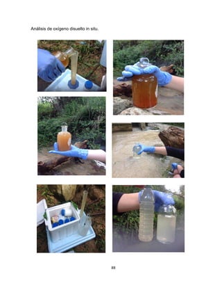 88
Análisis de oxígeno disuelto in situ.
 