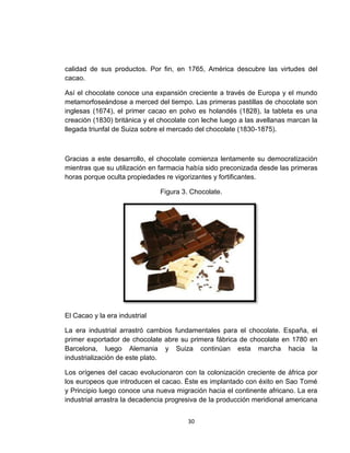 calidad de sus productos. Por fin, en 1765, América descubre las virtudes del
cacao.

Así el chocolate conoce una expansión creciente a través de Europa y el mundo
metamorfoseándose a merced del tiempo. Las primeras pastillas de chocolate son
inglesas (1674), el primer cacao en polvo es holandés (1828), la tableta es una
creación (1830) británica y el chocolate con leche luego a las avellanas marcan la
llegada triunfal de Suiza sobre el mercado del chocolate (1830-1875).



Gracias a este desarrollo, el chocolate comienza lentamente su democratización
mientras que su utilización en farmacia había sido preconizada desde las primeras
horas porque oculta propiedades re vigorizantes y fortificantes.

                               Figura 3. Chocolate.




El Cacao y la era industrial

La era industrial arrastró cambios fundamentales para el chocolate. España, el
primer exportador de chocolate abre su primera fábrica de chocolate en 1780 en
Barcelona, luego Alemania y Suiza continúan esta marcha hacia la
industrialización de este plato.

Los orígenes del cacao evolucionaron con la colonización creciente de áfrica por
los europeos que introducen el cacao. Éste es implantado con éxito en Sao Tomé
y Principio luego conoce una nueva migración hacia el continente africano. La era
industrial arrastra la decadencia progresiva de la producción meridional americana


                                       30
 