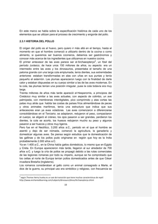En este marco se habla sobre la especificación histórica de cada uno de los
elementos que se utilizan para el proceso de crecimiento y engorde del pollo.

2.3.1 HISTORIA DEL POLLO

El origen del pollo es el huevo, pero quiero ir más allá en el tiempo, hasta el
momento en que el hombre comenzó a utilizarlo dentro de la cocina o como
alimento, si queremos ser buenos cocineros, debemos ser gastrónomos y
conocer más acerca de los ingredientes que utilizamos en nuestra cocina.
El primer antecesor de las aves parece ser el Archaeopteryx4, un fósil del
período Jurásico, de hace unos 150 millones de años, su aspecto era un
intermedio entre las aves y los dinosaurios, presentaba el tamaño de una
paloma grande con una larga cola emplumada, tenía dientes, sus extremidades
anteriores estaban transformadas en alas con uñas en sus puntas y tenía
pequeño el esternón. Las plumas aparecieron luego con la finalidad de darle
calor y estaban dispuestas en su cuerpo similar a las de las aves modernas. En
la cola, las plumas tenían una posición irregular, pues la cola todavía era muy
larga.
Treinta millones de años más tarde apareció el Hesperornis, a principios del
Cretácico muy similar a las aves actuales, con aspecto de colimbo, un ave
palmípeda, con membranas interdigitales, pico comprimido y alas cortas las
patas muy atrás que habita las costas de países fríos alimentándose de peces
y otros animales marítimos, tenía una estructura que indica que sus
antecesores eran ya aves voladoras. Las aves comenzaron a diferenciarse
consolidándose en el Terciario; se adaptaron, redujeron el peso, compactaron
el cuerpo, se aligeró el cráneo, los ojos pasaron a ser grandes, perdieron los
dientes, la cola se acorto, los huesos redujeron mucho su peso y algunos
pasaron a ser huecos y otros muy ligeros.
Pero fue en el Neolítico, 3.200 años a.C., periodo en el que el hombre se
asentó y dejo de ser nómada, comenzó la agricultura, la ganadería y
domesticar algunas aves. Se piensa según estudios que la domesticación de
las gallinas y de los pollos pudo originarse en región que hoy es la India
probablemente 2.000 años a.C.
Ya en 1.400 a.C., en la China había gallos domésticos, lo mismo que en Egipto
y Creta. En Europa aparecieron más tarde, llegaron al sur alrededor de 700
años a.C. y luego la cría de pollos se propagó debido a las rutas comerciales
de las legiones romanas por todo su imperio, aunque se ha comprobado que
los celtas al norte de Europa tenían pollos domesticados antes de que César
invadiera Bretaña (Inglaterra).
Los romanos consideraban al gallo como un animal consagrado a Marte, el
dios de la guerra, su principal uso era simbólico y religioso, con frecuencia se

4
 según Thomas Henry huxley es un ave de transición que tiene muchas características de reptil
http://www.enchantedlearning.com/subjects/dinosaurs/dinos/Archaeopteryx.shtml

                                                 19
 