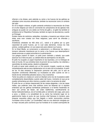 ofrecían a los dioses, pero además su carne y los huevos de las gallinas se
utilizaban como recursos alimenticios, también se reconocían como un símbolo
del valor
En él la religión cristiana, el gallo cantando simboliza la resurrección de Cristo
en el arte religioso por esto en coronando los campanarios de las iglesias más
antiguas se puede ver una veleta con forma de gallo y el gallo fue también el
emblema de la I República Francesa, también es signo de abundancia y suerte
en Portugal.
Existen restos de cerámica, estatuillas, monedas y mosaicos que indican cómo
estas aves eran criadas con fines religiosos, para servir de ofrendas y
sacrificios,
Aristófanes alrededor de 400 años a.C., valoró a la gallina por su gran
capacidad de poner huevos, por lo cual cada ateniense, incluso los más
pobres, cuidaba gallinas en sus casas solo para obtener sus huevos.
En la Edad Media, se comenzaron a seleccionar y a diferenciar las razas y
tomaron relevante importancia por la carne y los huevos que desempeñaron
desde entonces un papel primordial en la alimentación.
Los griegos crearon el capón, un pollo joven castrado y cebado, que suele
alcanzar los 2 kilos de peso, su calidad dista de asemejarse a la del pollo.
El pollo ha ocupado un papel importante en las leyendas y en la mitología de
todo el mundo. En sus entrañas leían el porvenir de sus dueños, los videntes y
sacerdotes de ciertas sectas, desde la antigüedad.
El pollo al nacer está cubierto por un fino plumón mojado, cuando es criado
industrialmente este se seca rápidamente con el calor de la incubadora. A partir
de los 18 días empieza la respiración pulmonar del pollo, por lo que se
requieren condiciones diferentes. La incubadora se abre cuando se ven a
través de las ventanillas polluelos secos y muy vivarachos.
Tanto los pollos en criados en corral en libertad como los de incubadora están
completamente desarrollados cuando salen del huevo, momento en que ya se
pueden alimentarse por ellos mismos y pueden volar a la semana de edad.
El pollo fue en un tiempo despreciado de las mesas elegantes, o de las casas
reales, que preferían aves más exóticas como los faisanes sin ni siquiera
enterarse que las gallinas domésticas pertenecen a la familia Fasiánidas es
decir son primas del faisán, del orden Galliformes, científicamente se
llaman Gallusdomesticus, era el humilde pollo un alimento del vulgo, pero poco
a poco, y debido a la versatilidad de su carne fue tomando lugar en la
gastronomía hasta el punto de que muchos chef famosos lo tomaron para
preparar exquisitos platos que han llegado a recibir reconocidos premios
mundiales como el pollo " Le CordónBleu" esta es una distinción otorgada por
la mejor escuela para cocineros que fue fundada en la ciudad cosmopolita de




                                       20
 