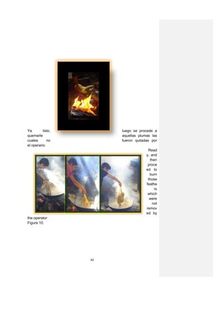 Ya        listo,        luego se procede a
quemarle                aquellas plumas las
cuales       no         fueron quitadas por
el operario.
                                      Read
                                     y, and
                                       then
                                      proce
                                     ed to
                                       burn
                                      those
                                     feathe
                                         rs
                                      which
                                       were
                                        not
                                     remov
                                     ed by
the operator
Figura 10.




                   42
 