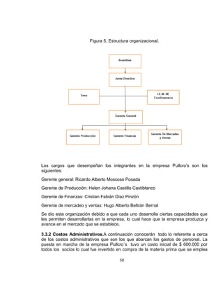 Figura 5. Estructura organizacional.

Los cargos que desempeñan los integrantes en la empresa Pullcro’s son los
siguientes:
Gerente general: Ricardo Alberto Moscoso Posada
Gerente de Producción: Helen Johana Castillo Castiblanco
Gerente de Finanzas: Cristian Fabián Díaz Pinzón
Gerente de mercadeo y ventas: Hugo Alberto Beltrán Bernal
Se dio esta organización debido a que cada uno desarrolla ciertas capacidades que
les permiten desarrollarlas en la empresa, lo cual hace que la empresa produzca y
avance en el mercado que se establece.
3.3.2 Costos Administrativos.A continuación conocerán todo lo referente a cerca
de los costos administrativos que son los que abarcan los gastos de personal. La
puesta en marcha de la empresa Pullcro´s tuvo un costo inicial de $ 600.000 por
todos los socios lo cual fue invertido en compra de la materia prima que se emplea
50

 